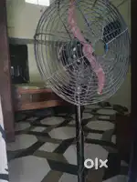 Girls roommate chahiye