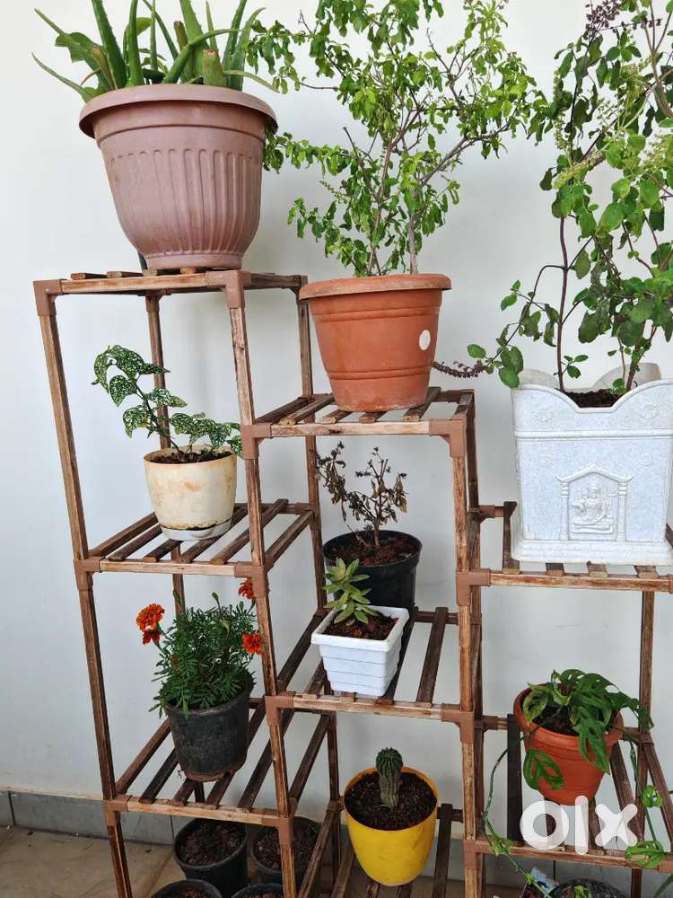 10-Tier Wooden Plant Stand