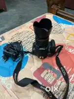 Nikon D5600