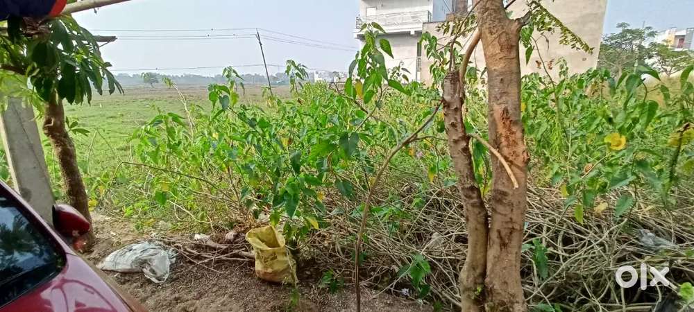 Land sell in Jaleswar Vihar