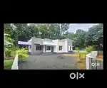 Kothamangalam thankalam house for sale