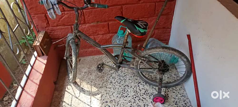 Kids cycle