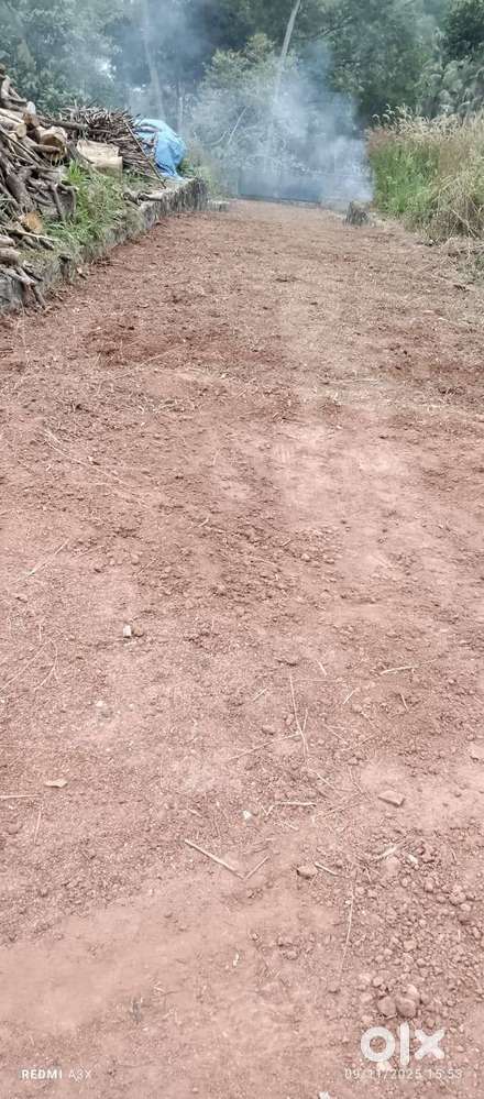 6.3 cent Plot for sale near Cenkottukonam