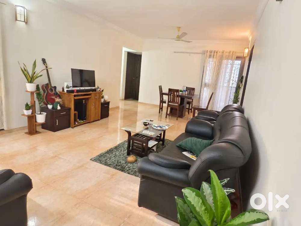 Female flatmate needed