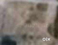 60×40 ft Corner Plot Available  Prime Location in Karmchari Colony