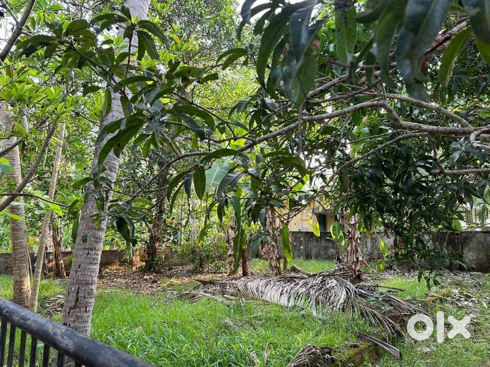 Plot for sale at Alathara, at Durga Resid Asso 12/Cent