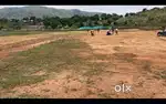 LAND FOR SALE IN LOW BUDJET