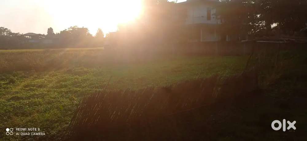 for more details just give a call in this number