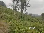 25 Cent Farm land/plot for sale in near pnnaikadu privu, kodaikanal
