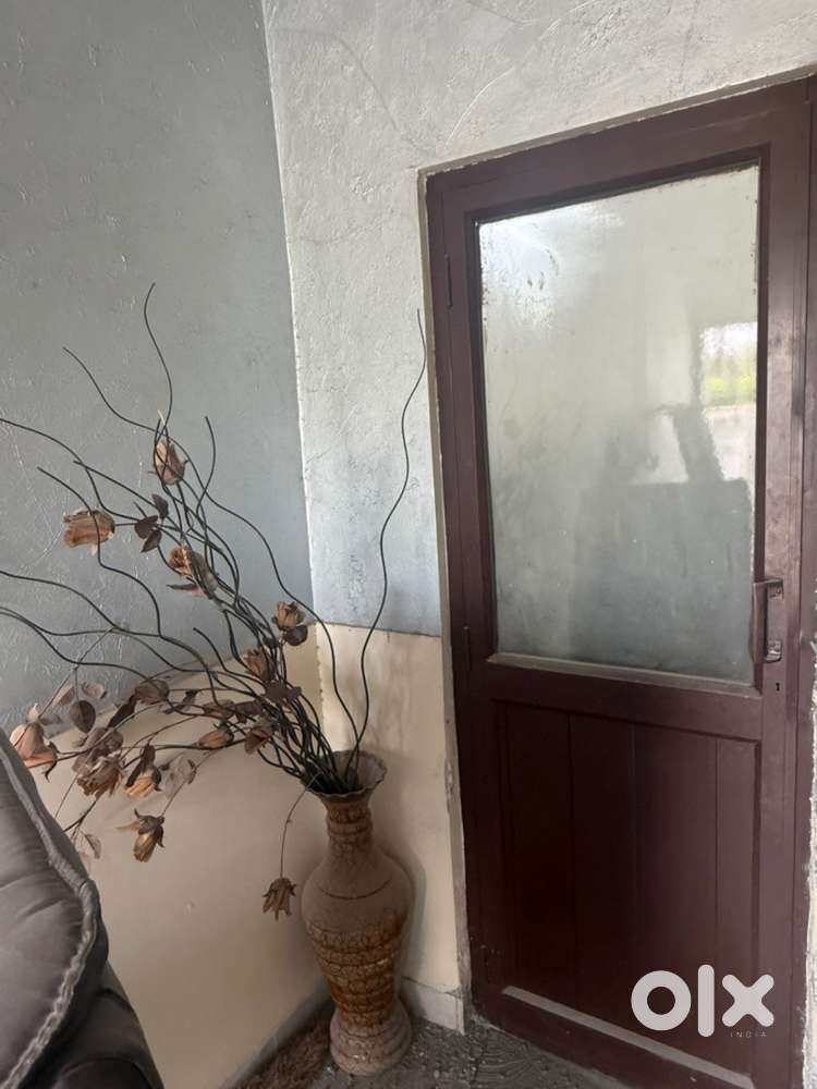 Old Alluminium doors for office
