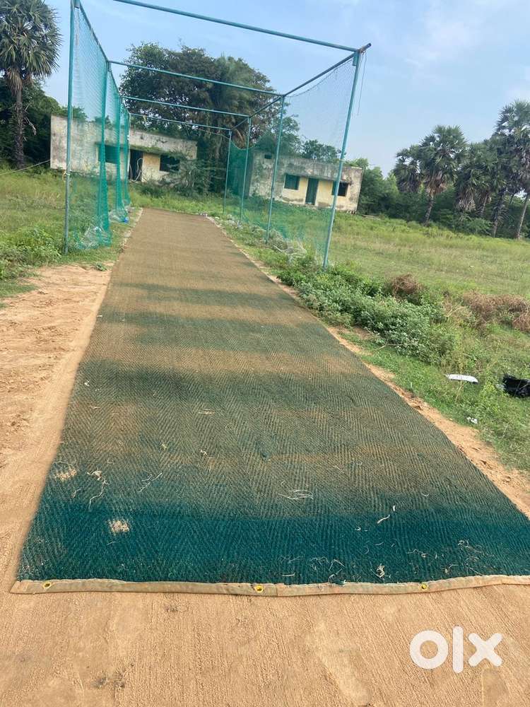 Cricket Full Matt