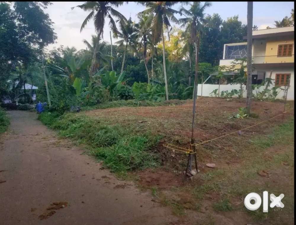 6 Cent house property Near Azhikode, Nedumangadu