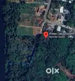 42 cent flat land