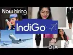 AIRPORT URGENT JOBS INDIGO AIRLINES ALL OVER INDIA