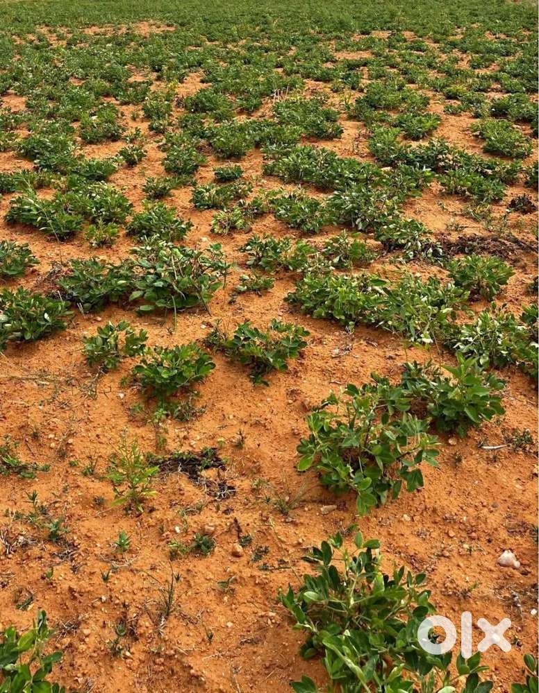 Mulanthuruthy Plot for sale