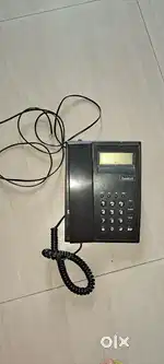 Beetle Landline