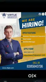 Business development executive