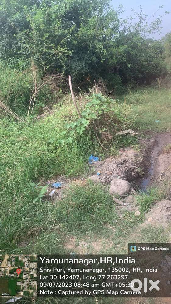 Plot For Sale 133 Guj East Face