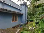 6 cent Land with old house for sale at Aluva Edayappuram