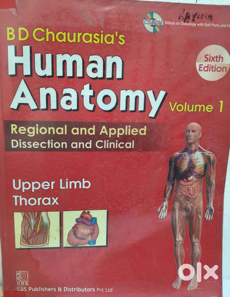 BD chaurasiya Human Anatomy medical books