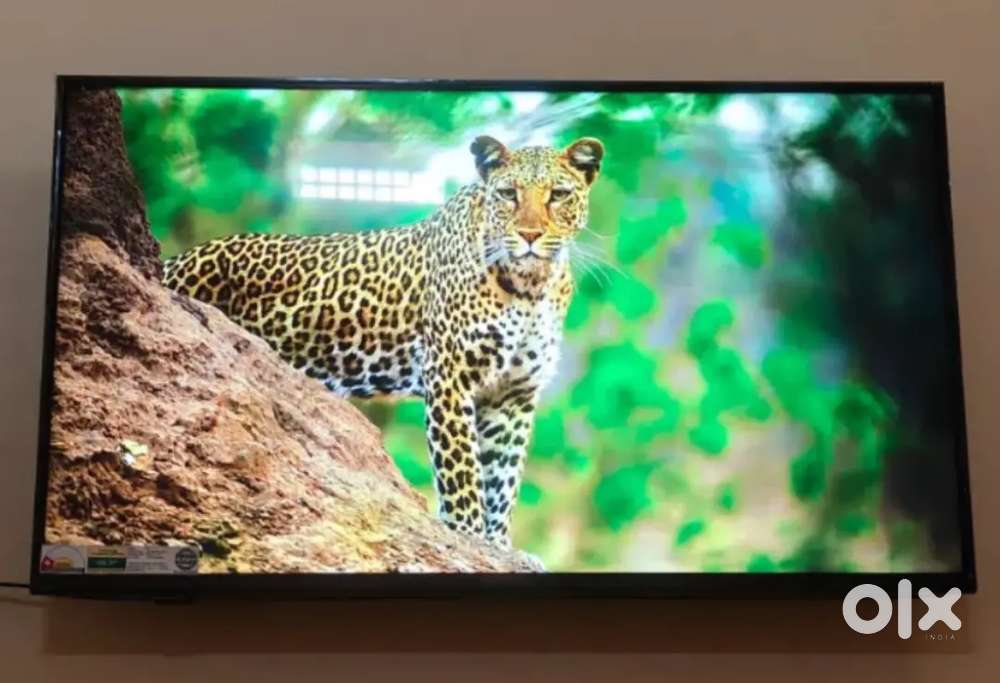 TODAY OFFER ALL SIZES LED TV CHEAPEST PRICE BOOKING NOW IMMEDIATELY