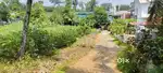 50 സെന്റ്  ഹൌസ് പ്ലോട്ട്