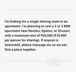 Looking for a shared apartment