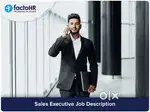 Real estate sales executive job and team leader