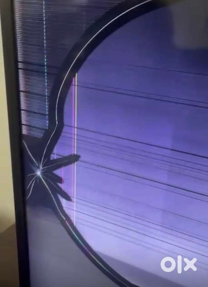 Samsung LED TV 49 inch only display damaged