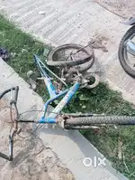 Purani cycle ekadam