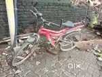 Nice cycle