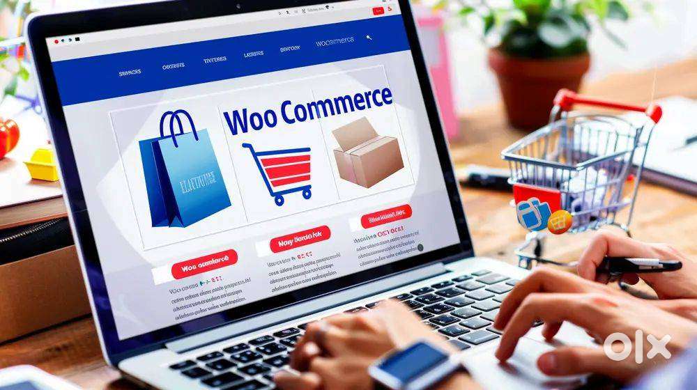 Wanted a WordPress WooCommerce Developer for a Startup Website