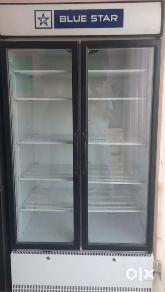 Blue Star 1000 litre fridge