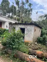 Road side near to brahmagiri meat factory