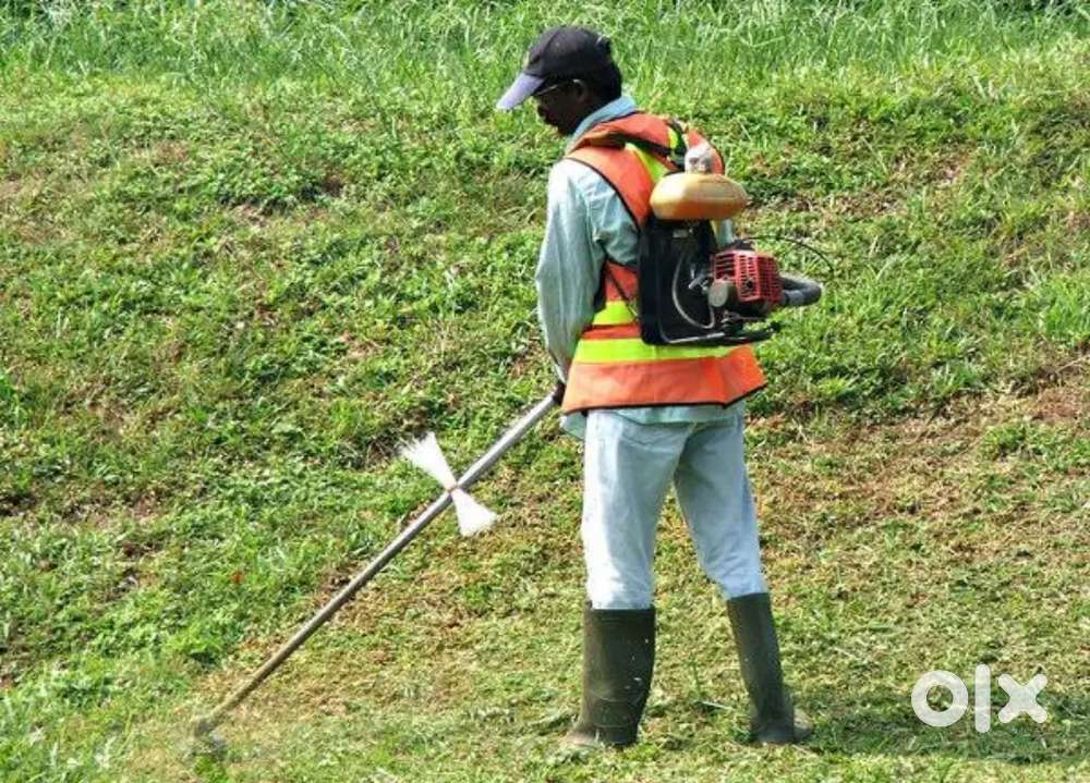Grass cutting service