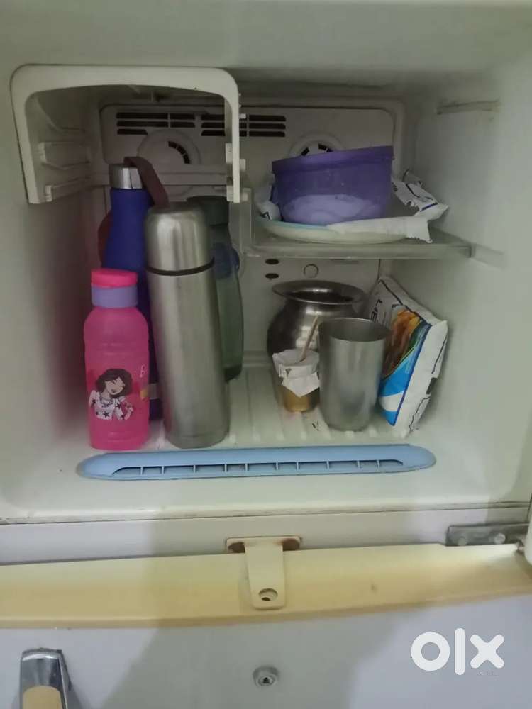 Lg double door