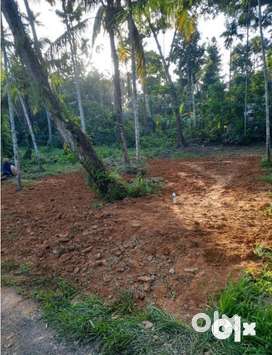 10 cents of residential land near Kongorpilly junction.