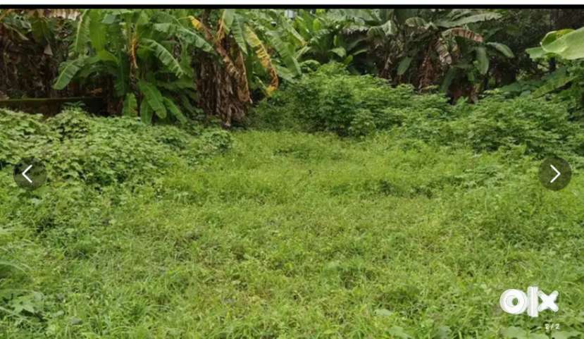 22 CENT LAND FOR SALES FAROOK
