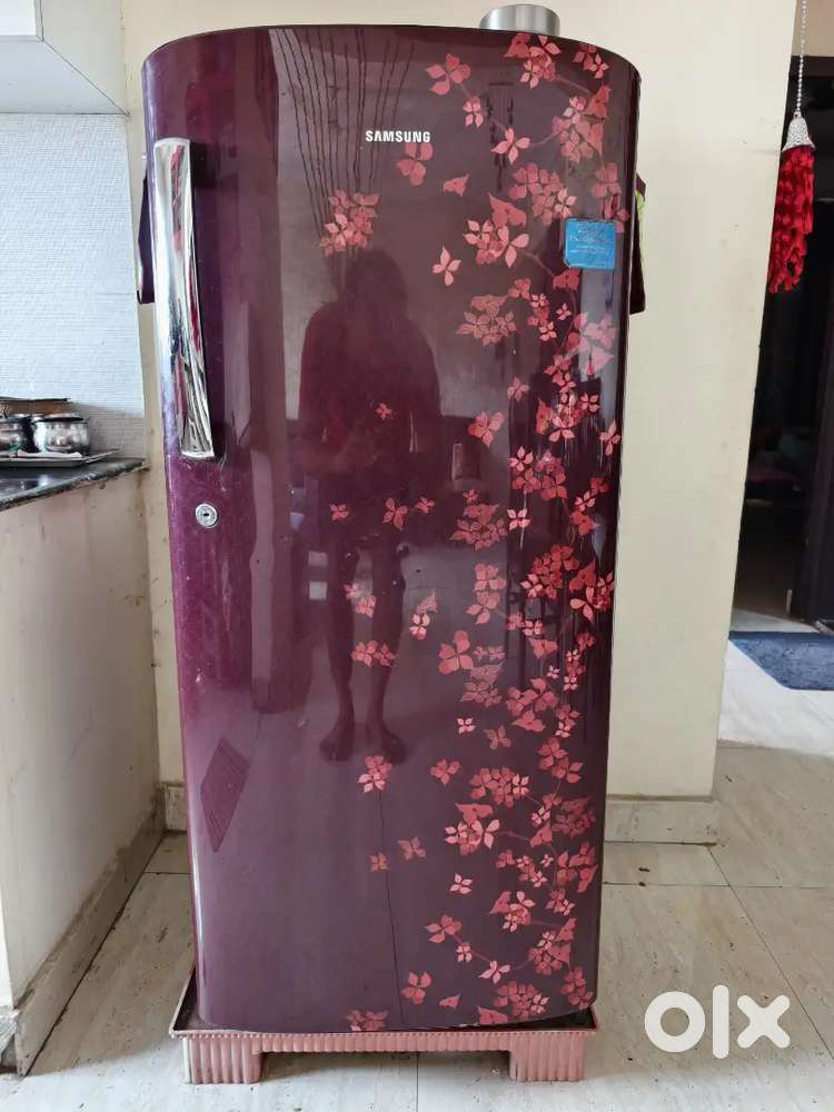 Samsung Fridge Refrigerator 190 Litre Direct Cool