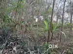 Land for sale - Melpuram Kadamacode