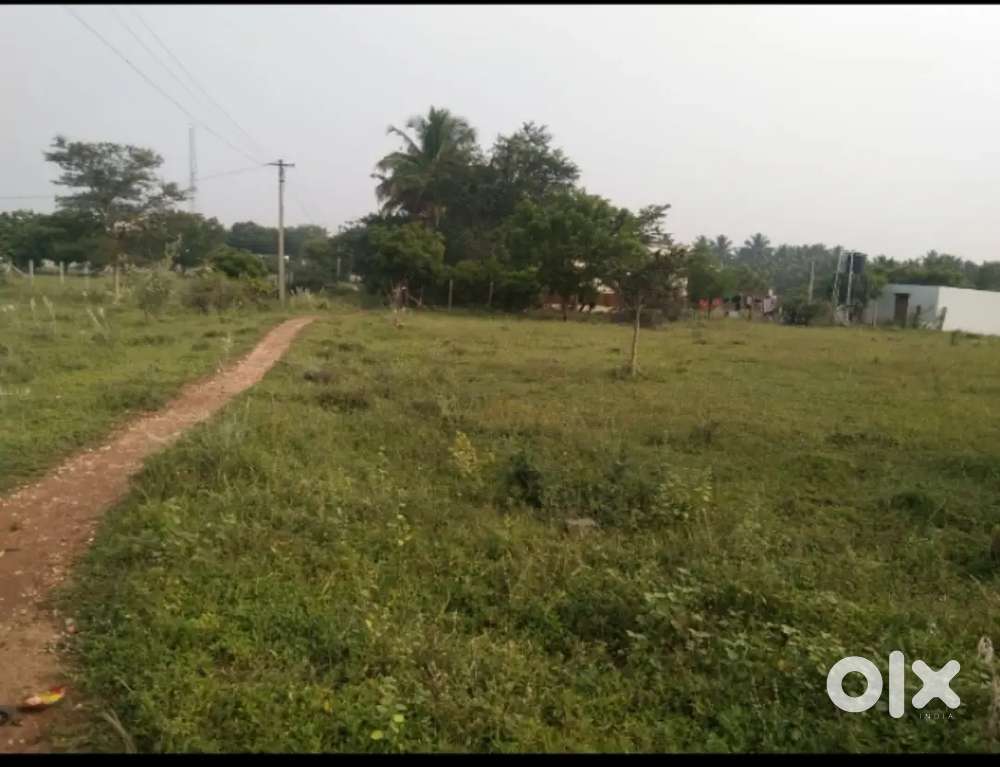 Land sale sidco