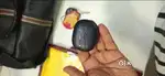BOAT EARBUDS
