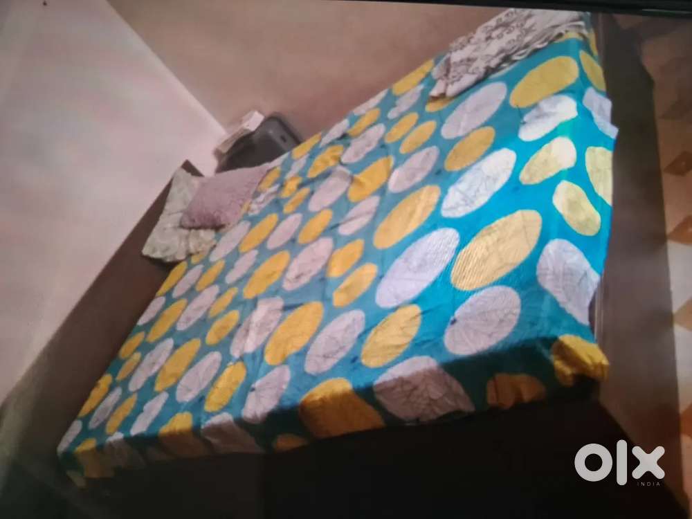 Only girls allowed and pure vegetarian  and gujrati