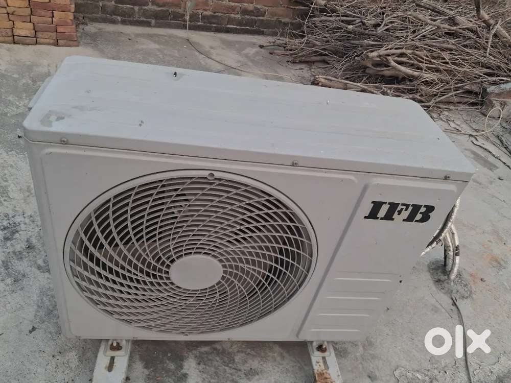 ifb 5star  1 year old