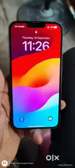 13 pro max
