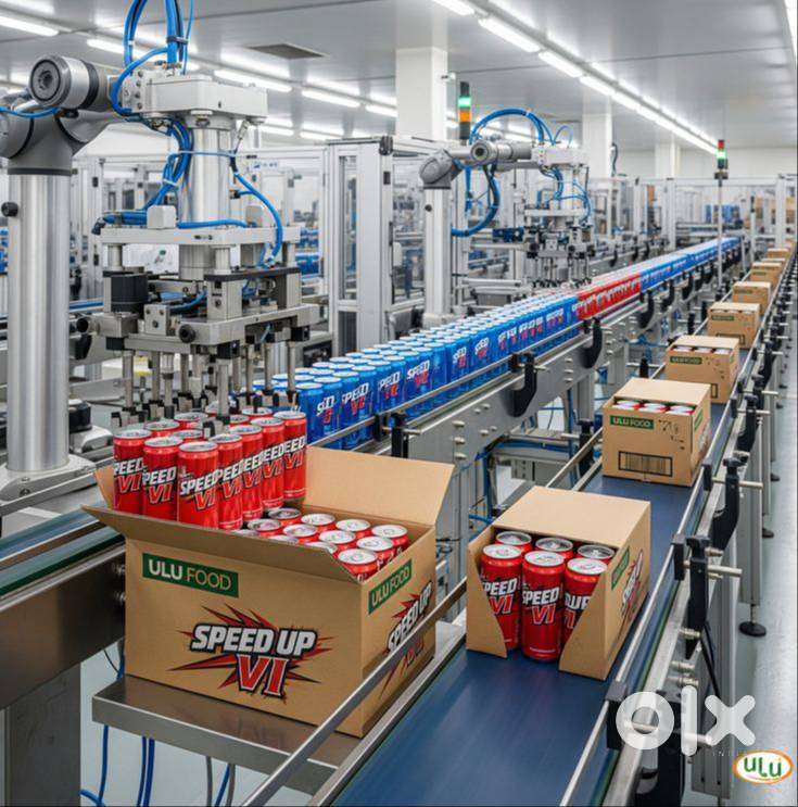 Immediate placement opportunities