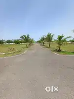 Ponneri Karanodai Jaganathapuram low budget land Sale
