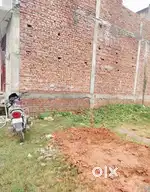 100 Gaj plot