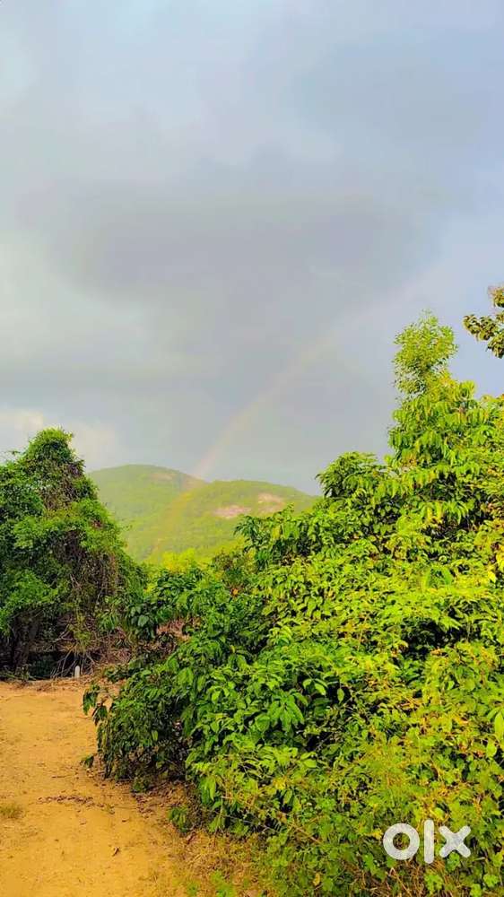 MOUNTAINS VIEW PLOTS FOR SALE, AREA1026SQ MTS, PRICE@₹1299/SQ MTS