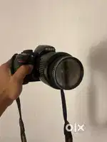 Nikon D3100